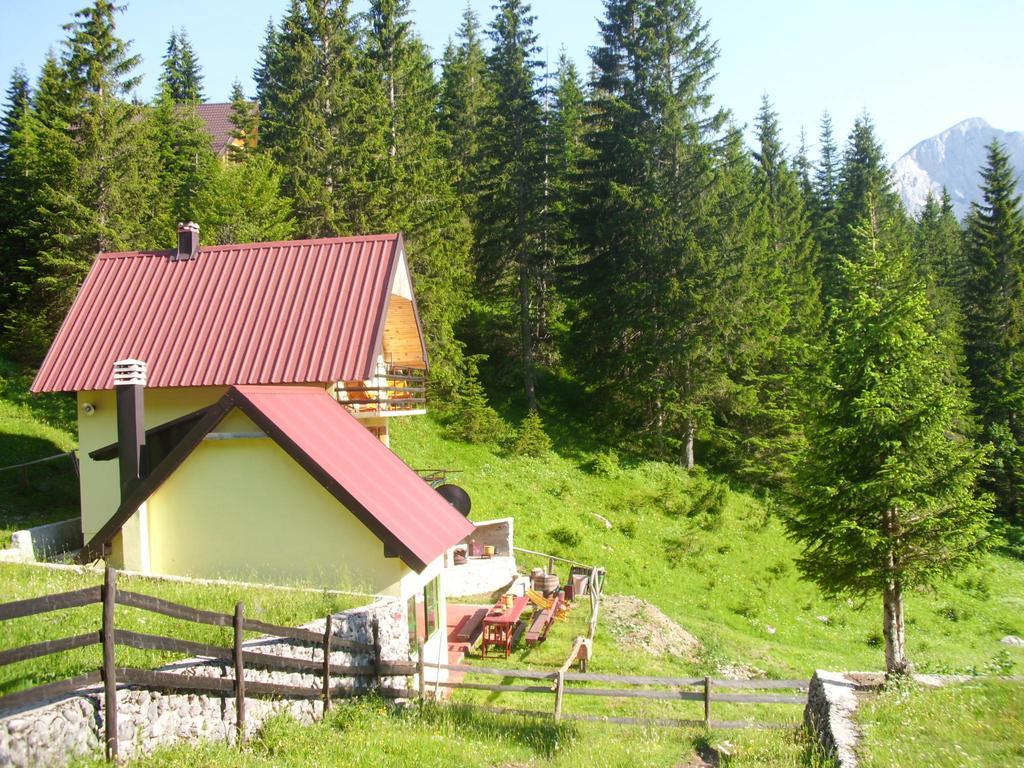 Apartment Vujisic Žabljak Oda fotoğraf