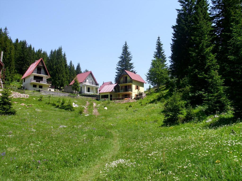 Apartment Vujisic Žabljak Oda fotoğraf