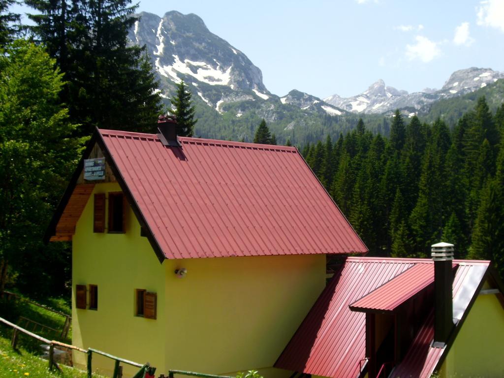 Apartment Vujisic Žabljak Oda fotoğraf