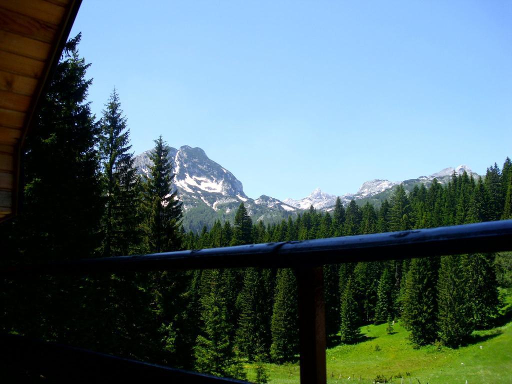 Apartment Vujisic Žabljak Oda fotoğraf